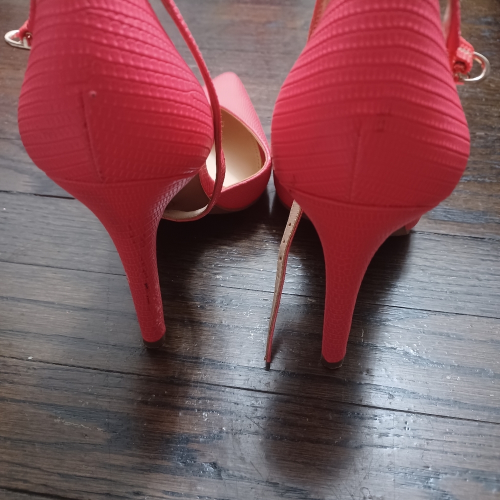 Shies - Picture 4 of 4